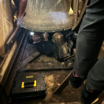 Removal of bell clappers, October 2023. Photograph by Isabella Whitworth